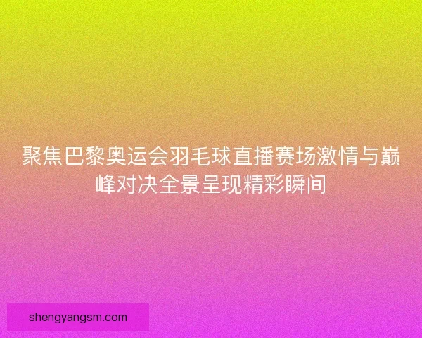 聚焦巴黎奥运会羽毛球直播赛场激情与巅峰对决全景呈现精彩瞬间