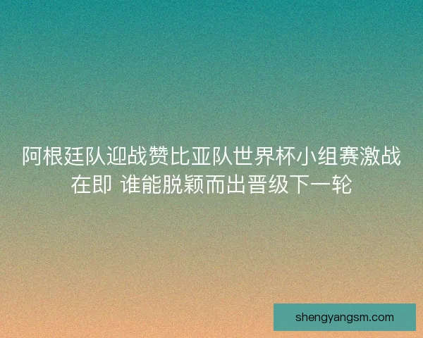 阿根廷队迎战赞比亚队世界杯小组赛激战在即 谁能脱颖而出晋级下一轮